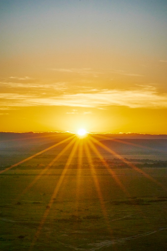 Early call on the Maasai Mara